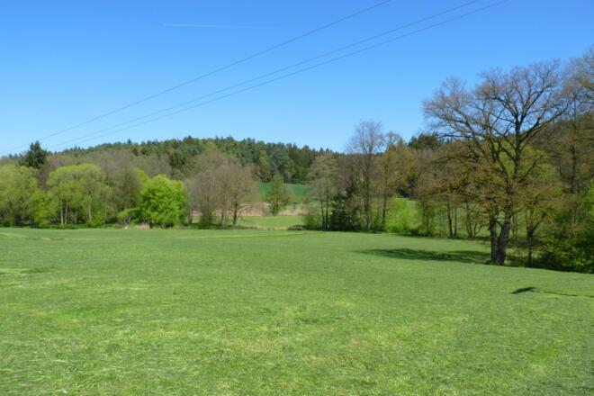 Gambachtal bei Postmünster