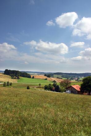 Abfahrt bei Wampendobl.
