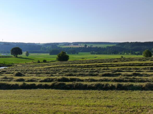 Blick auf die Kollbachauen