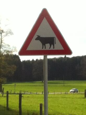 Vorsicht hier kreuzen Kühe