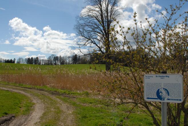 Doktor-Faustus-Weg in Polling