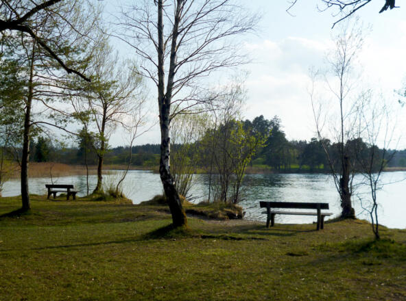 Mehrere Bänke bieten am Badeplatz am Fohnsee-Ostufer Gelegenheit zum Erholen.