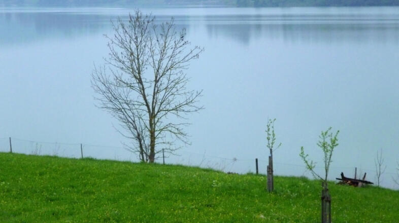 Traumhafter Blick über den Lechstausee nahe Urspring.