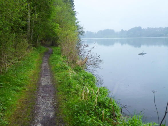 Direkt am Ufer des Lechstausees entlang führt der Weg idyllisch in Richtung Lechbruck.