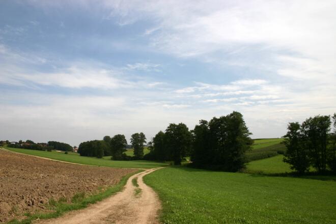 Entlang des Embachs.