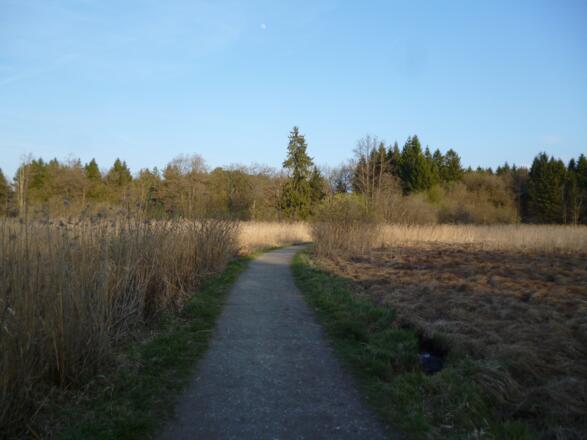 Auf einem schmalen Kiesweg geht es durch das idyllische Moorgebiet südlich des Großen Ostersees und des Fohnsees.