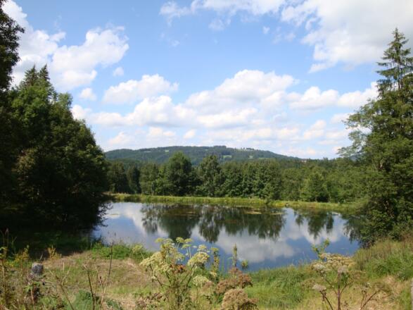 Kleiner See in der Nähe von Rottenbuch