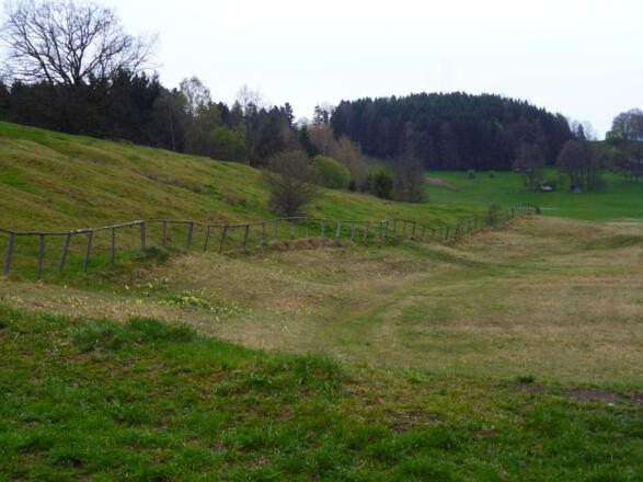 Ein unscheinbarer Wiesenpfad führt durch das Natura 2000-Schutzgebiet Grasleitner Moorlandschaft nach Oberhausen.