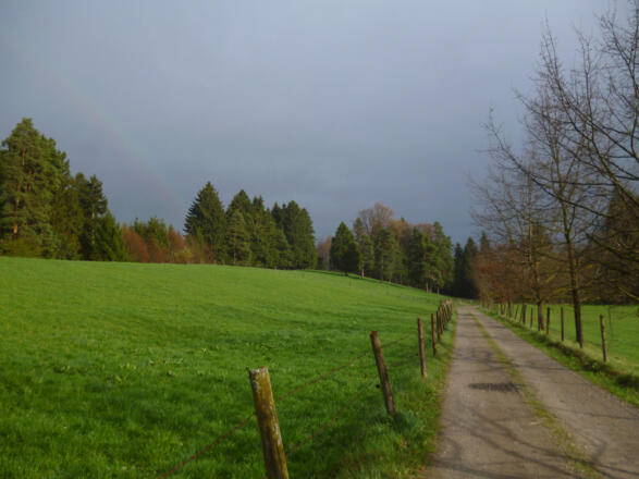 Saftig grüne Wiesen wechseln sich mit mehr oder weniger lichten Wäldern ab.