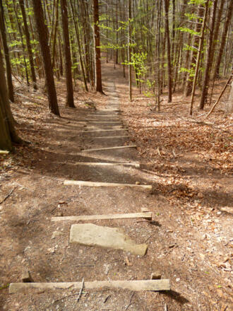Später geht es über zahlreiche Stufen steil hinunter in Richtung Ammer.