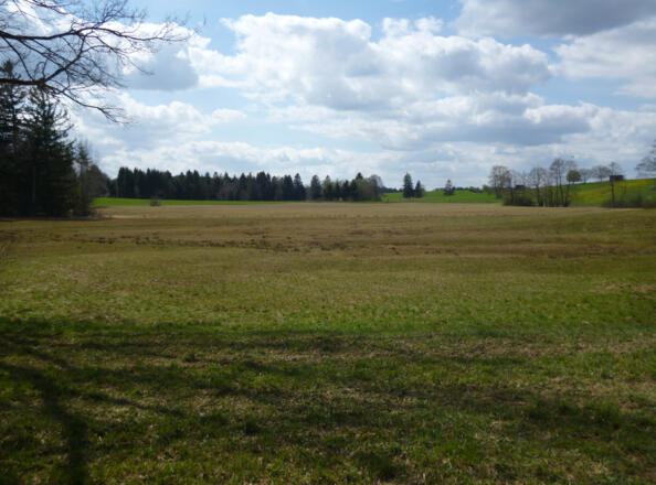 Spazieren entlang weitläufiger Moorflächen.