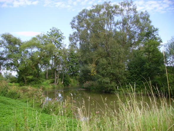 Die Kollbach vor der Vilsmündung.