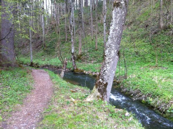 Idyllische Pfade führen am Mühlbach entlang