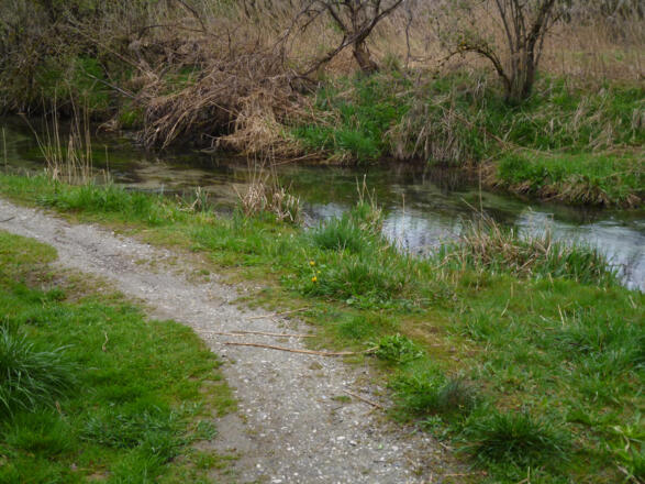 Idyllisch geht es hinter Huglfing am Bach entlang in Richtung Grasleitner Moor.