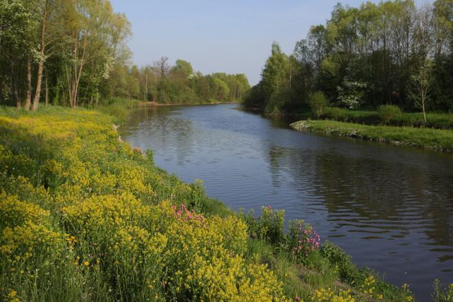 Blick von der Rottbrücke