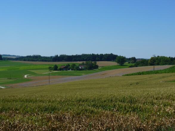 Ausblick bei Berghäusl