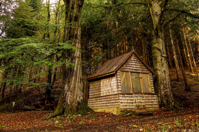 Die Holzkapelle