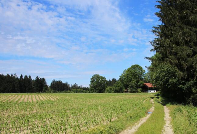 Ausblick auf der Tour