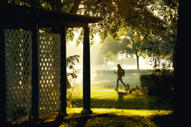 Blick auf den Löwenbrunnen