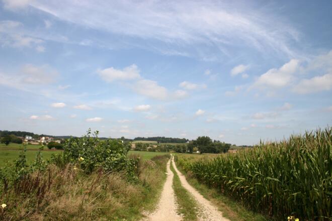 Startpunkt bei Attenham / Unterdietfurt.