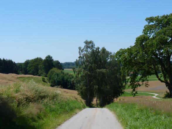 Ausblick bei Berghäusl
