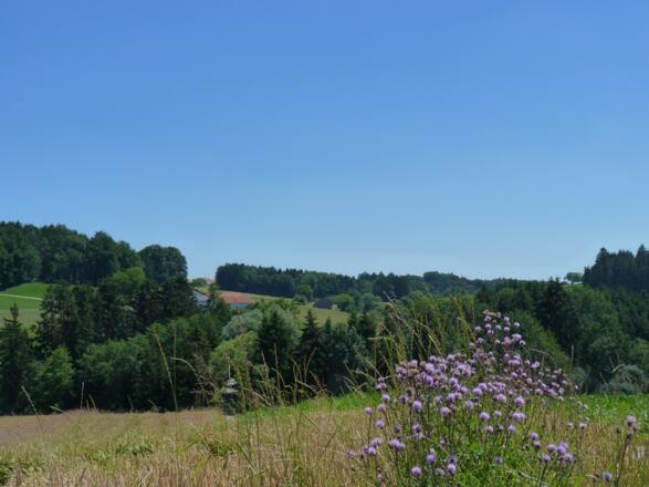 Ausblick bei Holzhäusln