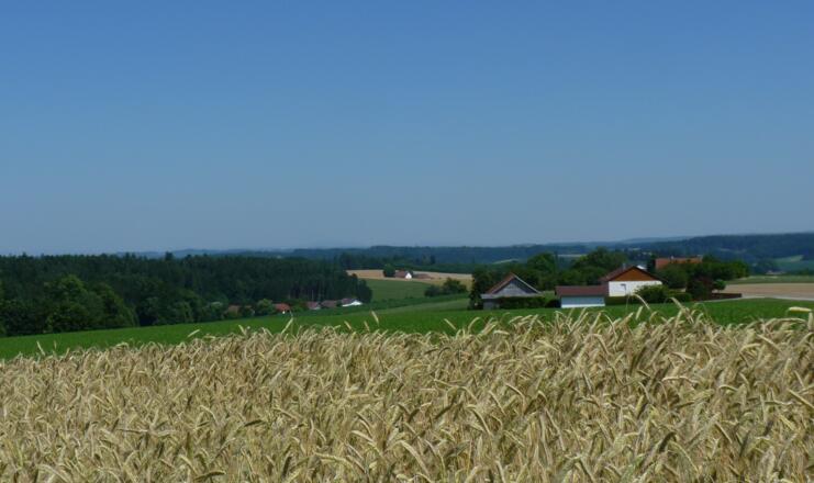 Ausblick bei Höglsberg