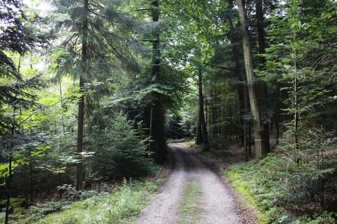 Ausblick auf der Tour