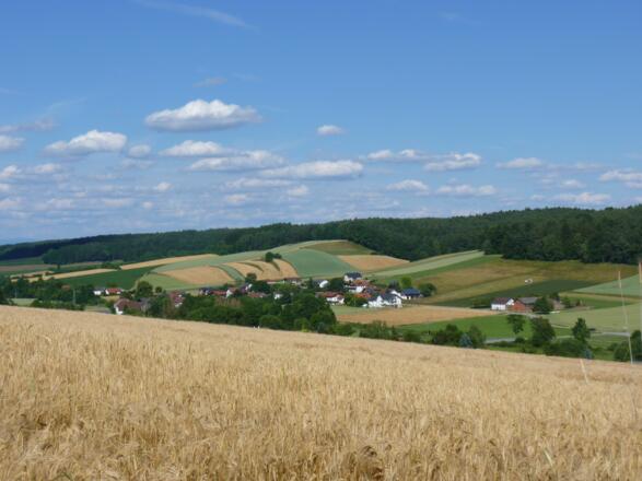 Ausblick von Guteneck ins Sulzbachtal