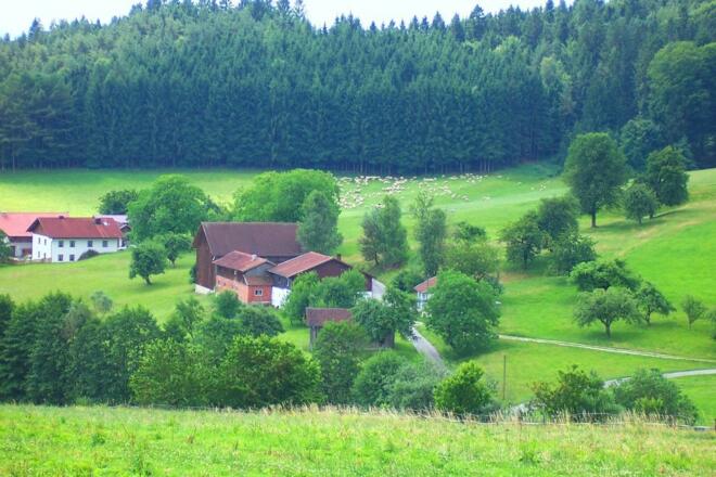 Am Schellenberg bei Koblstetter