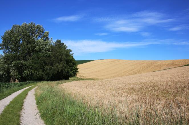 Ausblick auf der Tour