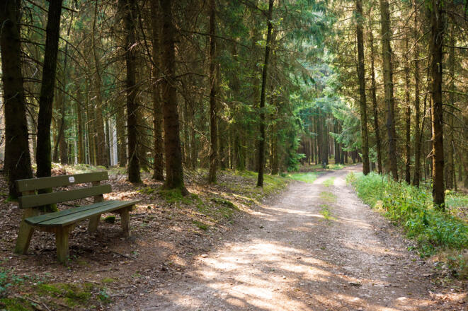 Ausschnitt aus der Tour