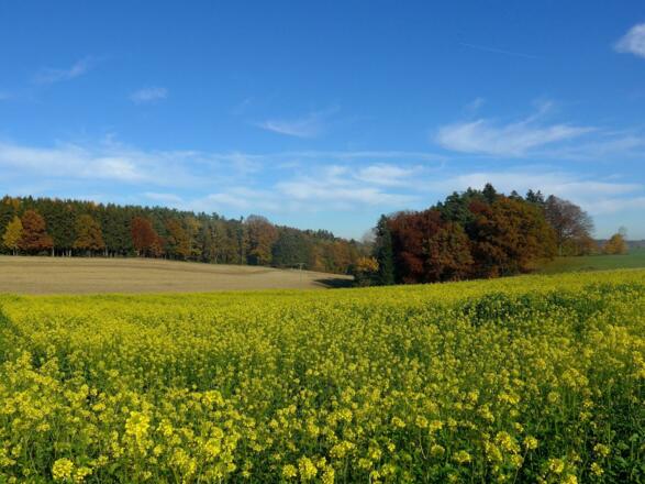 Kulturlandschaft bei Königsöd im Herbstkleid