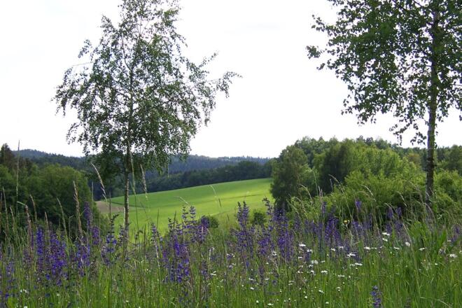 Wandern bei Taubenbach
