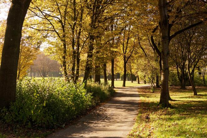 Ausschnitt aus der Tour