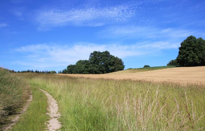 Ausblick auf der Tour