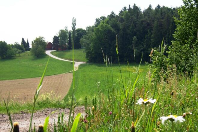 Ausblick bei Fingerer