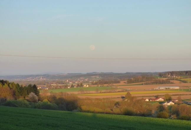 Ausblick von Berg ins Kollbachtal