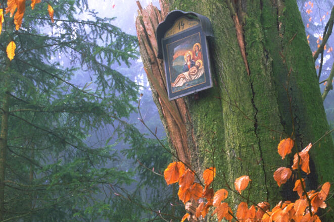 Holztafeln des Kreuzwegs
