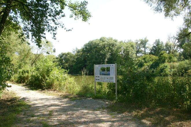 Infotafel Lebensraum Altwasser