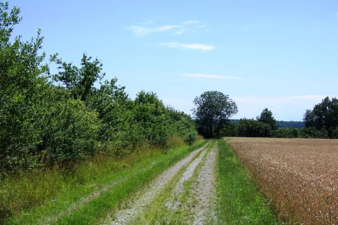 Wandern bei Seibersdorf