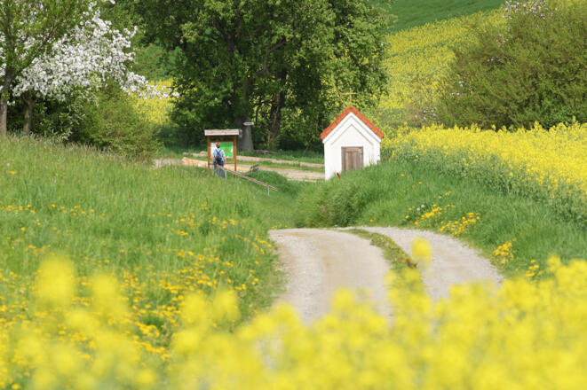 Der Weg von der Grund- und Mittelschule zur Bruder Konrad Kapelle