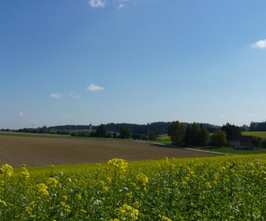 Blick auf Edermanning