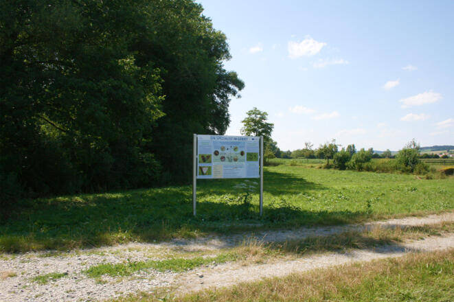 Infotafel Ein Spezialist im Gebiet