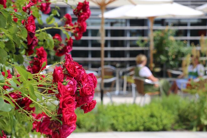 Der Innenhof des Artriums