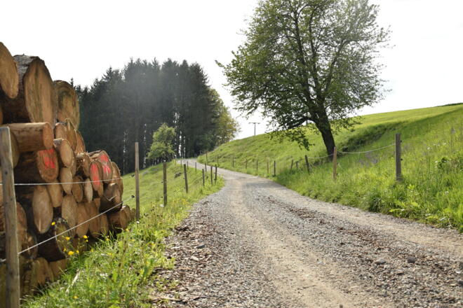 Wanderweg Stubenberg 1
