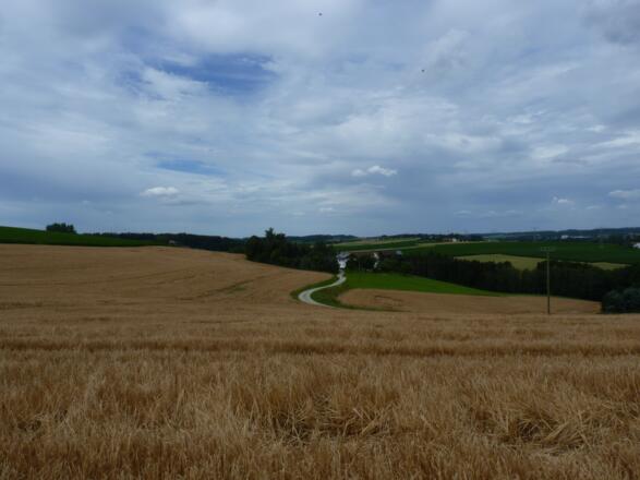 Ausblick bei Hebersberg