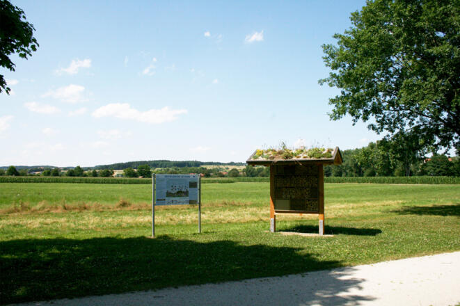 Infotafel Der Wildbiene sei Dank