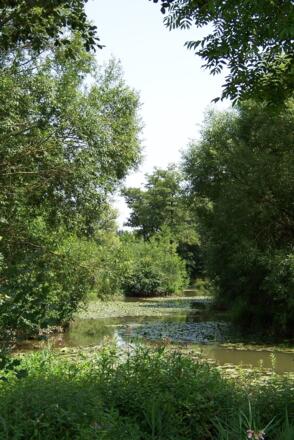 Am Geratskirchner Bach