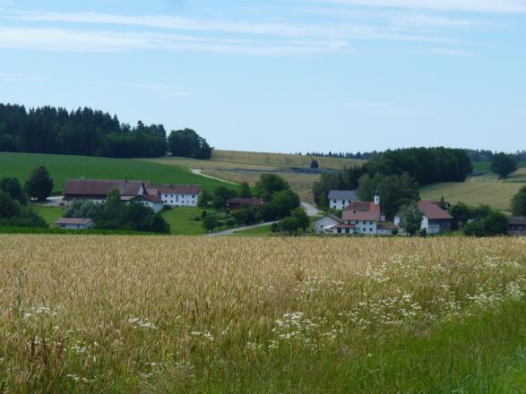 Blick auf Neukirchen